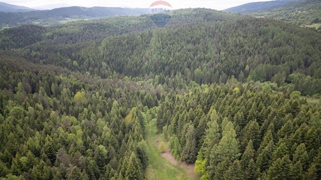 Działka rolna w Krzeszowie