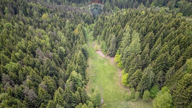 Działka rolna w Krzeszowie