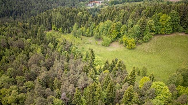 Działka rolna w Krzeszowie