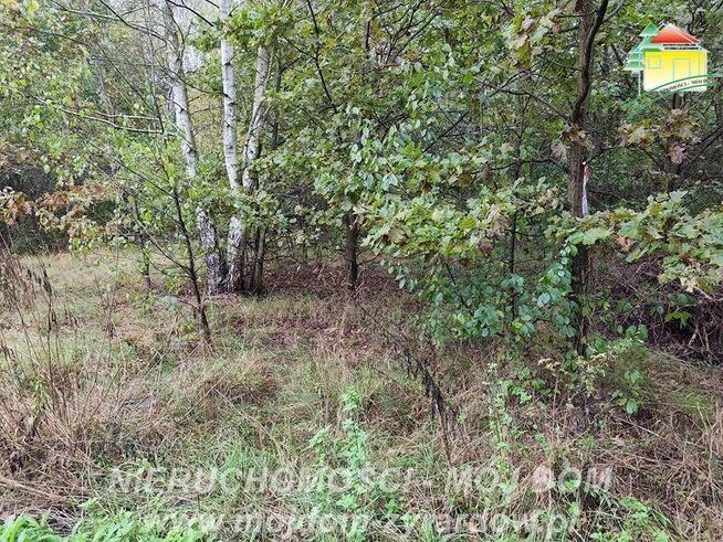 Działka budowlana Franciszków gm. Wiskitki