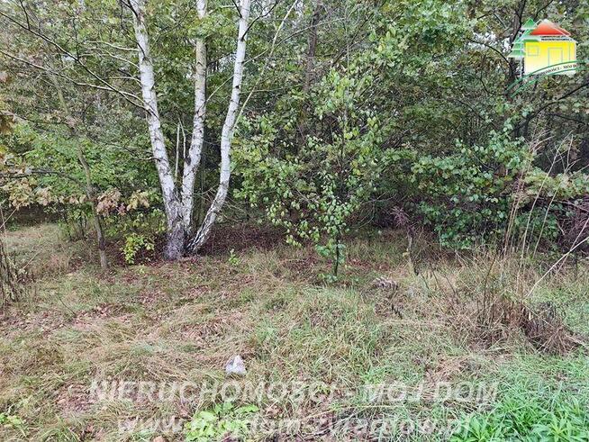 Działka budowlana Franciszków gm. Wiskitki