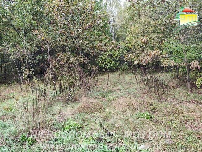 Działka budowlana Franciszków gm. Wiskitki