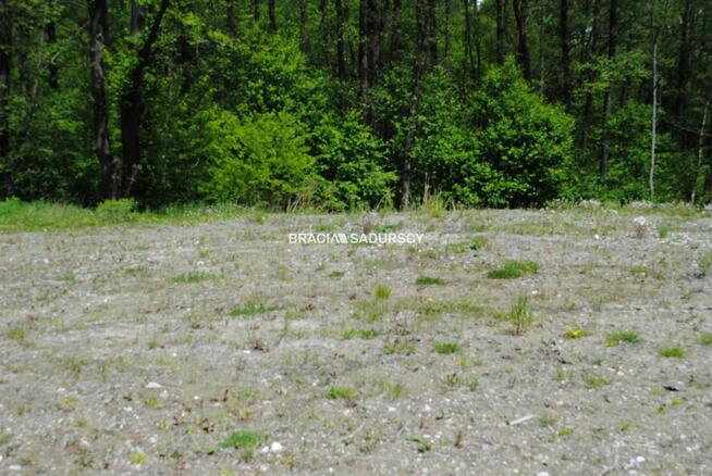 Działka leśna Kraków Swoszowice, Podgórki