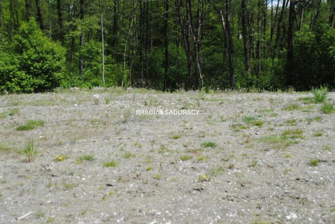 Działka leśna Kraków Swoszowice, Podgórki