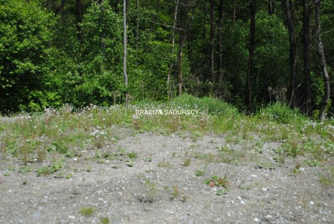 Działka leśna Kraków Swoszowice, Podgórki