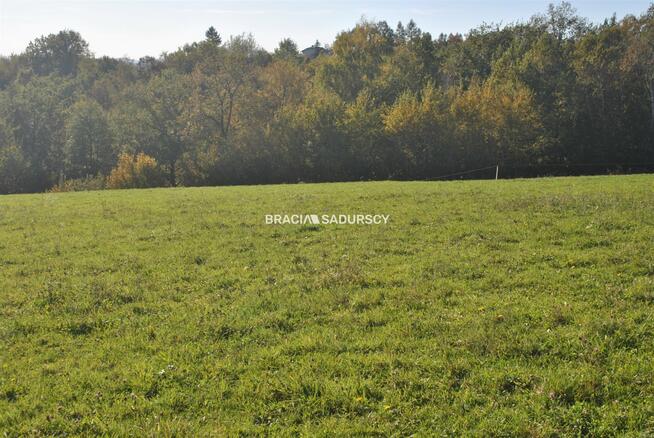 Działka usługowa Dziekanowice gm. Dobczyce