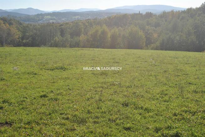 Działka usługowa Dziekanowice gm. Dobczyce