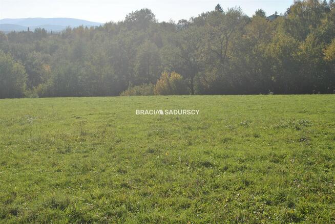 Działka usługowa Dziekanowice gm. Dobczyce