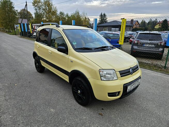 Fiat Panda Opłacona Zdrowa Zadbana Serwisowana Klima 4x4 1 Wł Po Serwisie