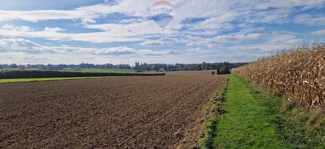 Działka pod zabudowę + rolna + rekreacja