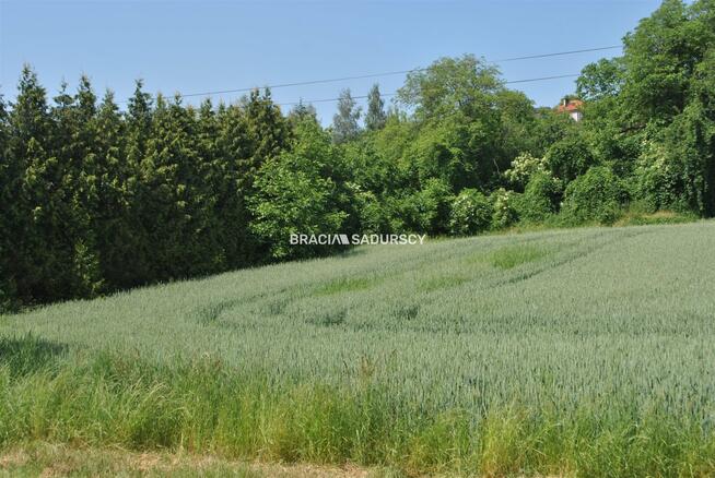 Działka inwestycyjna Brzezie gm. Kłaj