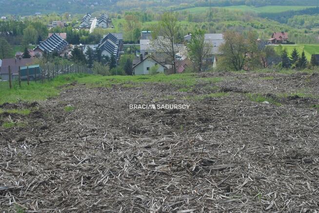Działka Wieliczka Kopalina, Magnoliowa
