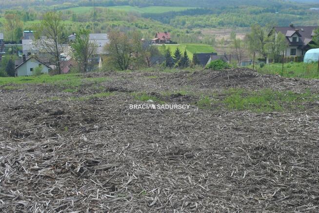Działka Wieliczka Kopalina, Magnoliowa