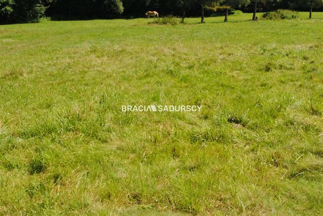 Działka usługowa Gdów