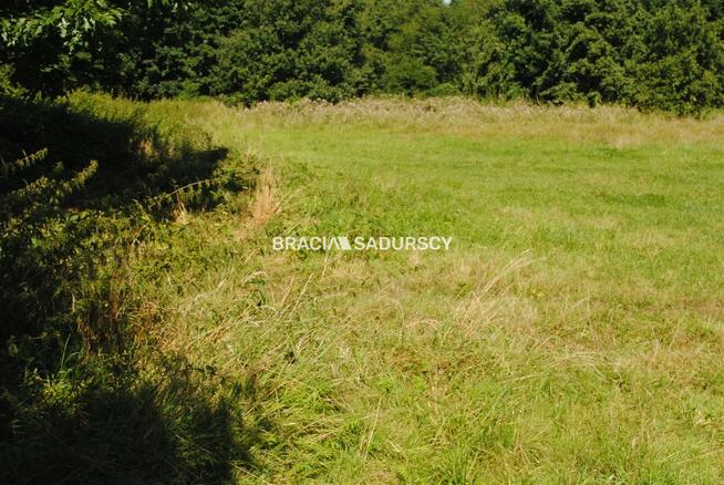 Działka usługowa Gdów