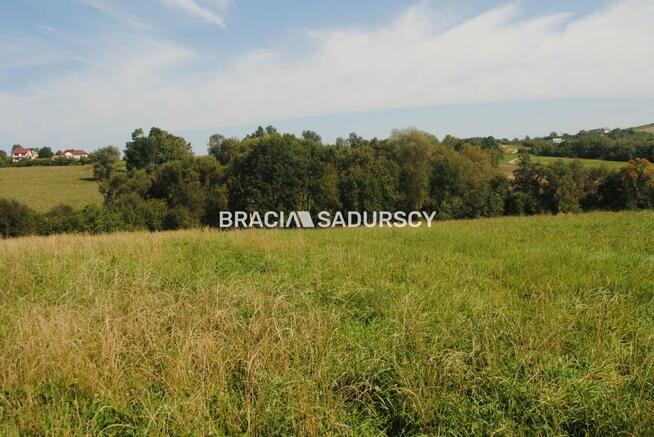 Działka Gruszów gm. Raciechowice