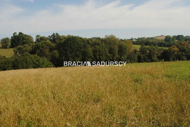 Działka Gruszów gm. Raciechowice