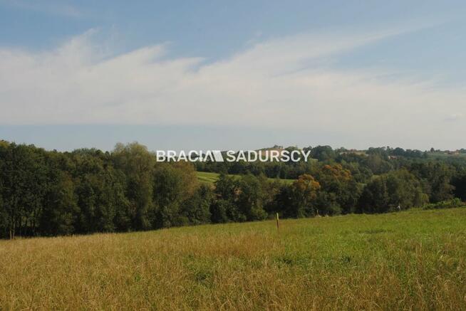 Działka Gruszów gm. Raciechowice