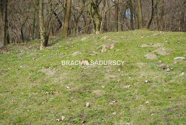 Działka leśna Malkowice gm. Koszyce