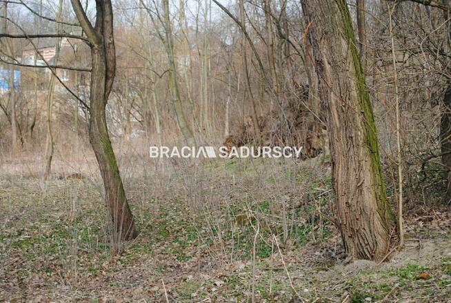 Działka leśna Malkowice gm. Koszyce