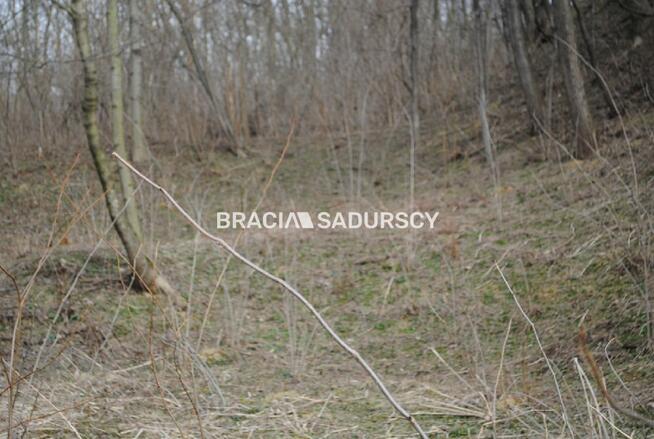 Działka leśna Malkowice gm. Koszyce
