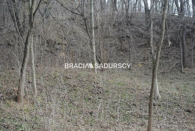 Działka leśna Malkowice gm. Koszyce