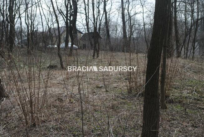 Działka leśna Malkowice gm. Koszyce