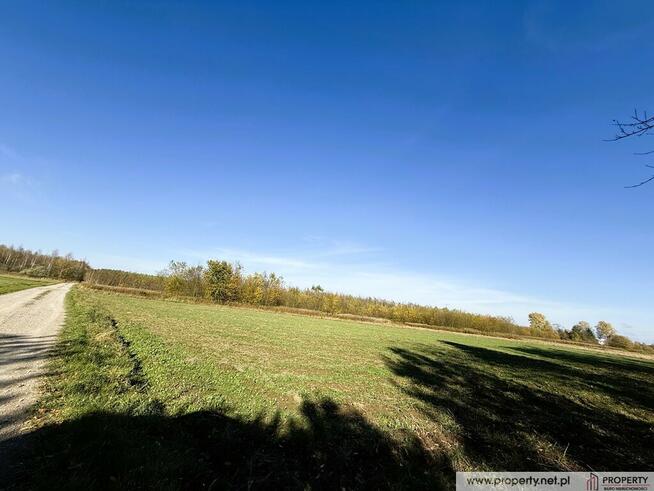 Działka 47 ar, Pustków, gm. Dębica