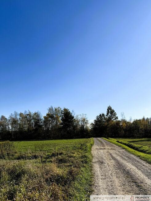 Działka 47 ar, Pustków, gm. Dębica