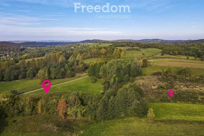 Działka 81 ar z WZ w Grabówce k. Brzozowa