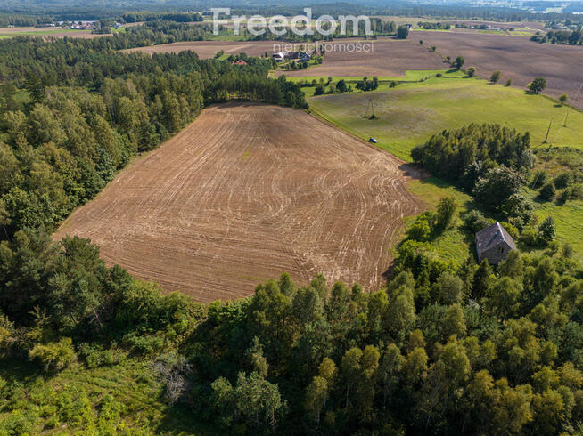 Działka siedliskowa z mpzp - dom, las, cisza