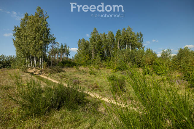 Działka siedliskowa z mpzp - dom, las, cisza