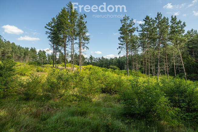 Działka siedliskowa z mpzp - dom, las, cisza