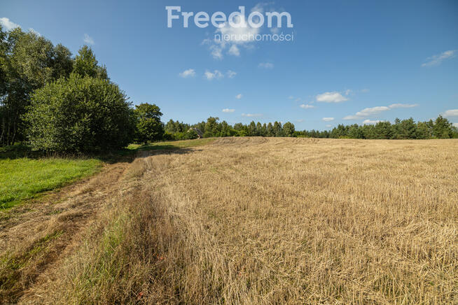 Działka siedliskowa z mpzp - dom, las, cisza