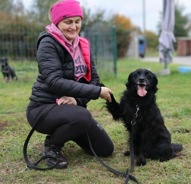 Kudłaty towarzyski Nero