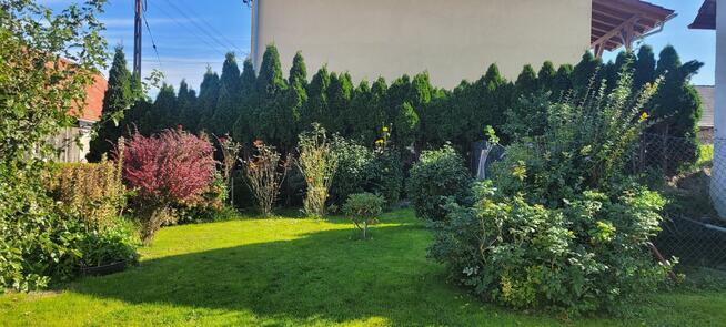 Dom ze stawem karpiowym