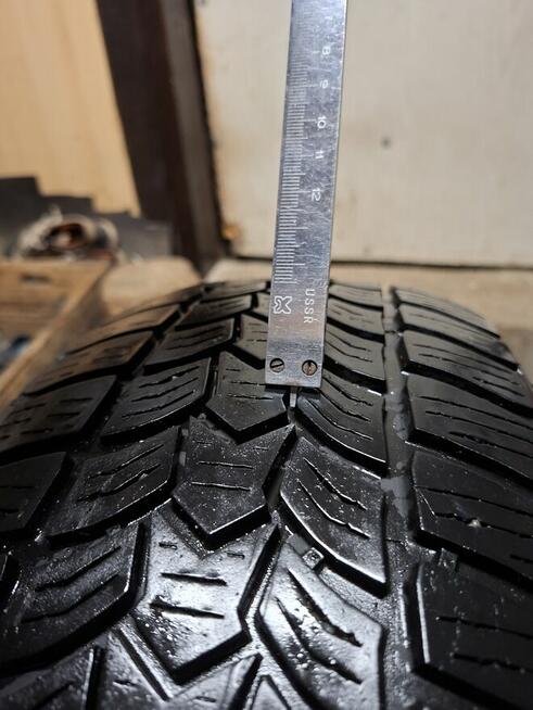 Opona zimowa Dębica Frigo NEW 195/65 R15