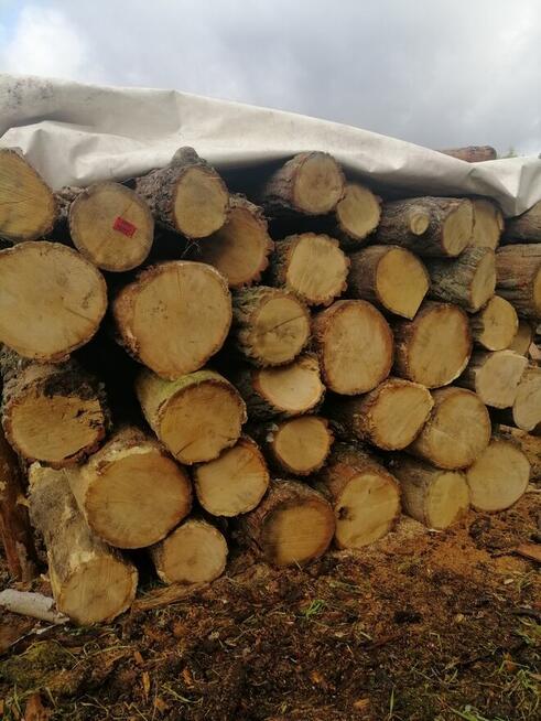 Suche wałki dębowe oraz sosnowe! Możliwy transport