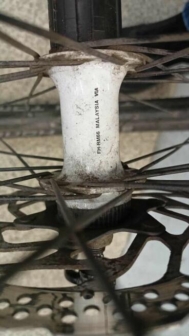 Koła 29 mtb Alexrims Race Shimano Deore Schwalbe st.Bd