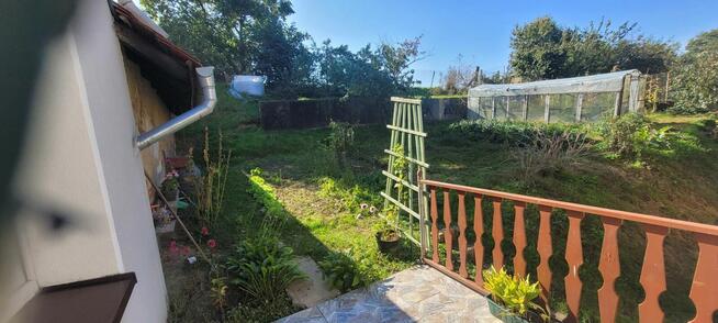 Dom ze stawem karpiowym