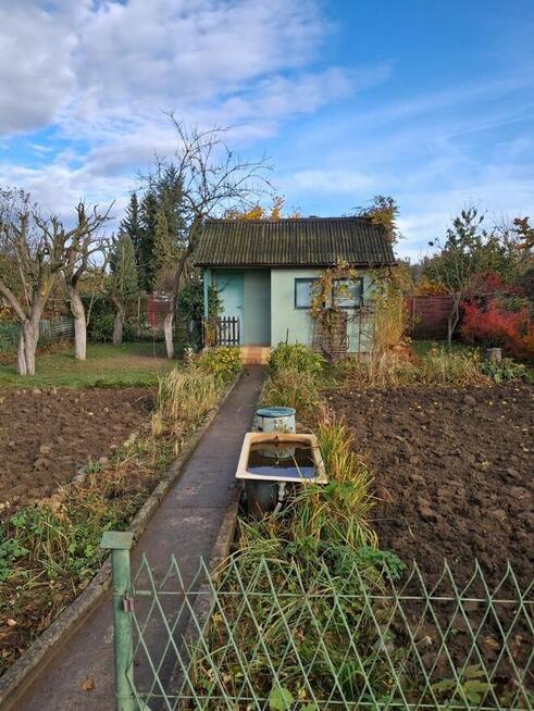 Sprzedam działkę ROD LEŚNY LUBIN