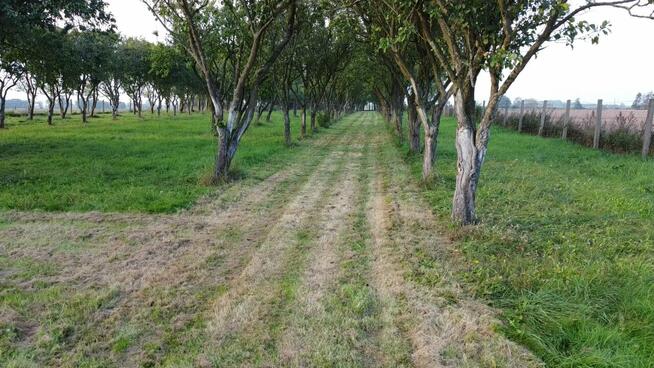 Działka budowlano-rekreacyjna Jarszewo