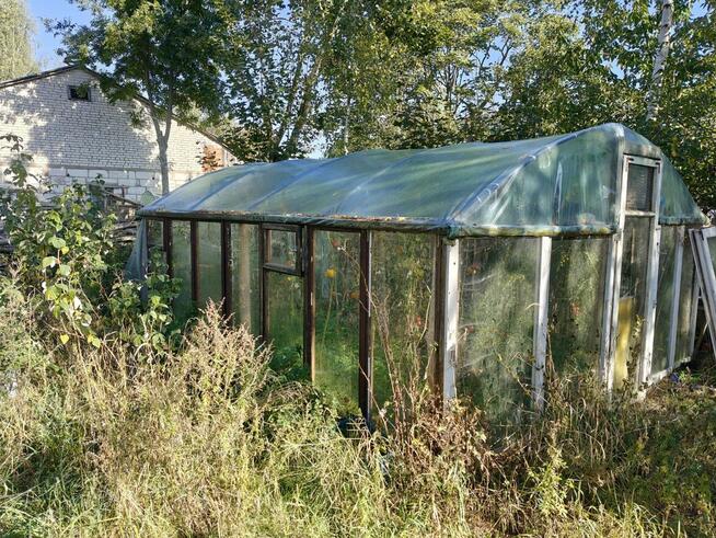 Syndyk sprzeda - Raki