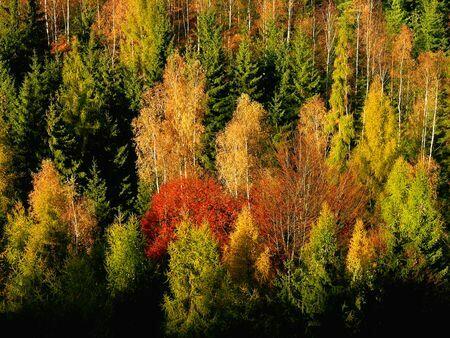 Działka Wojakowa bez pośredników – 68 arów rolno-inwest.
