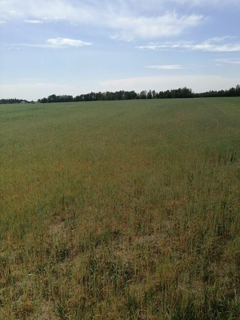 Udział w nieruchomości gruntowej niezabudowanej - Parczew