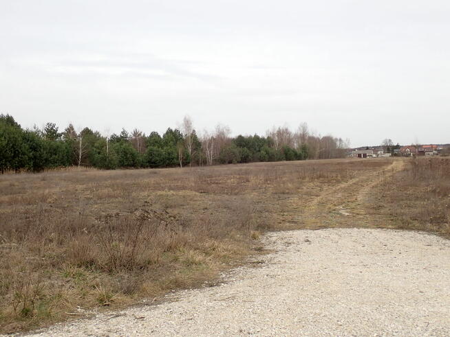 Udział w nieruchomości gruntowej - Nadma 1391/8, 1391/10