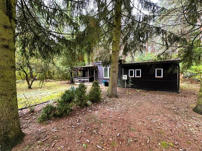 Malownicza działka nad rzeką Bug – Kania Polska