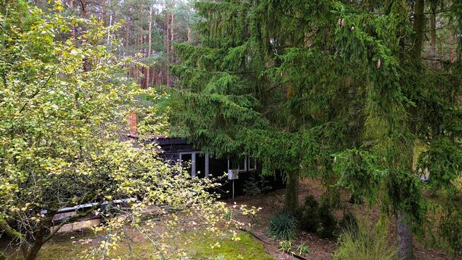 Malownicza działka nad rzeką Bug – Kania Polska