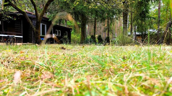 Malownicza działka nad rzeką Bug – Kania Polska