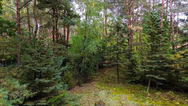 Malownicza działka nad rzeką Bug – Kania Polska